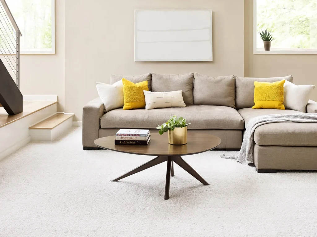 CarpetDiem 6E009 00101 Snowkissed H - Color Interiors Design Center