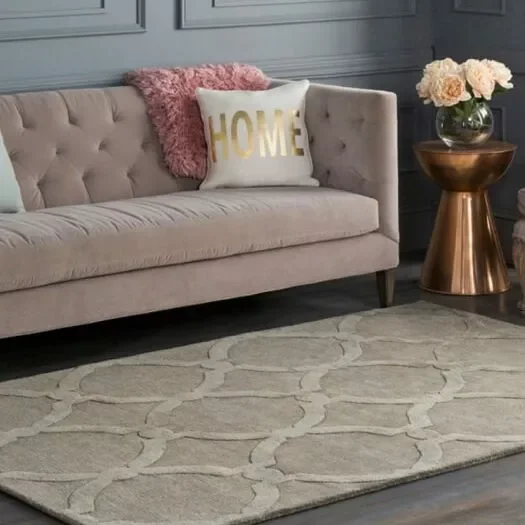 Area rug anchoring a modern living room