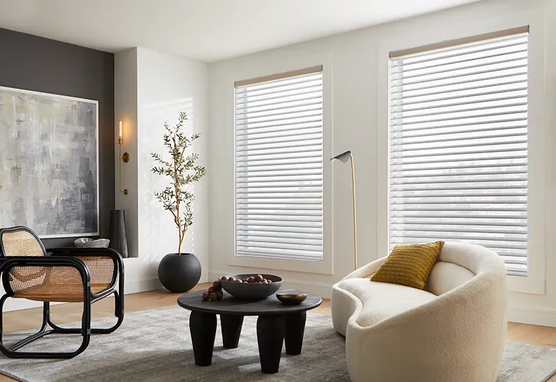 Window Treatments 04 - Color Interiors Design Center