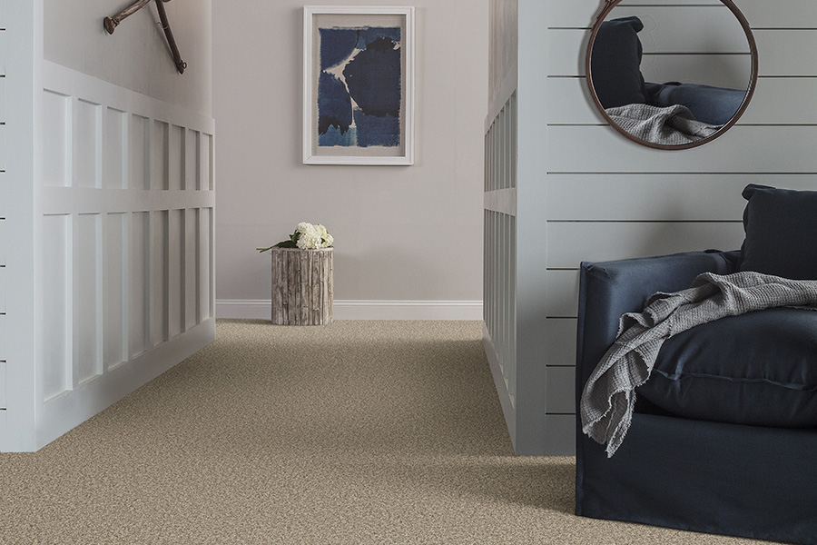 A Homeowner’s Practical Guide: Comparing Nylon and Polyester Carpet Performance