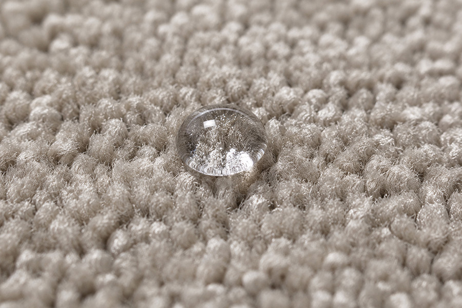 A Homeowner’s Practical Guide: Comparing Nylon and Polyester Carpet Performance