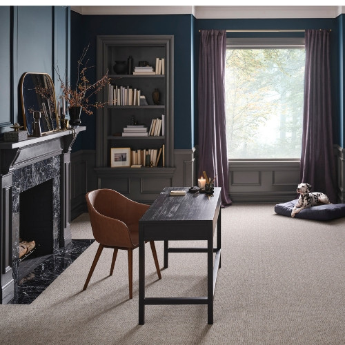 carpet store conroe - Color Interiors Design Center