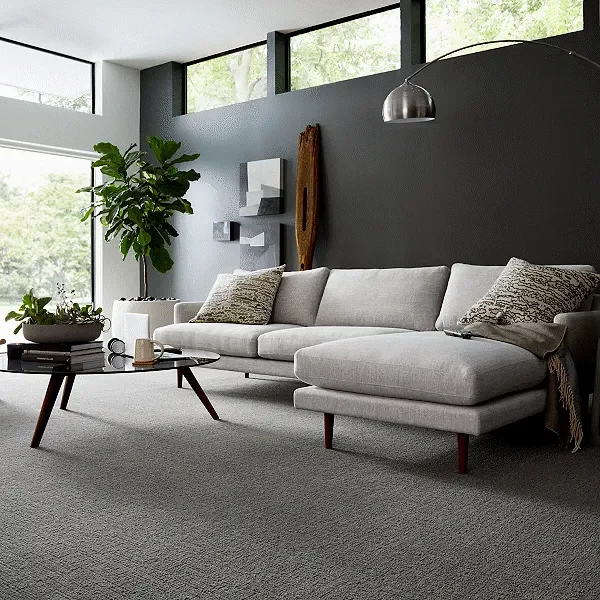 Karastan carpet in a comfortable living space | Color Interiors